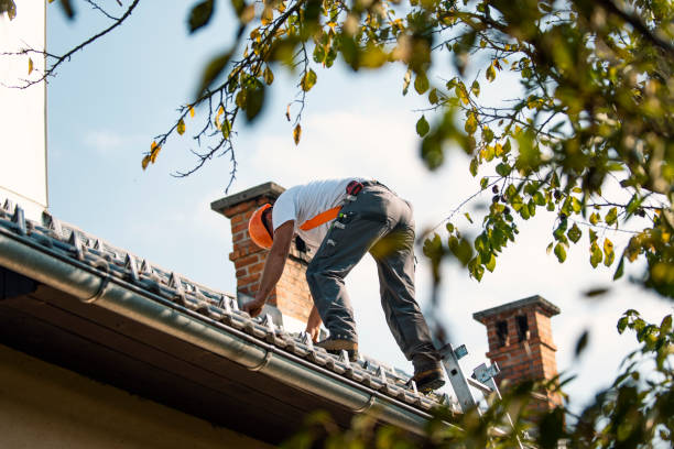 Best Slate Roofing Contractor  in Lazy Mountain, AK