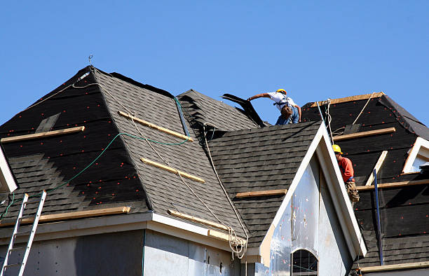 Best Local Roofing Companies  in Lazy Mountain, AK