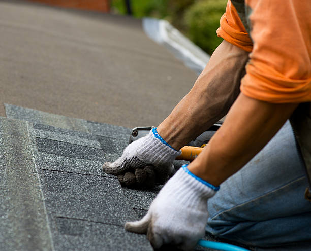 Best Roof Maintenance Services  in Lazy Mountain, AK
